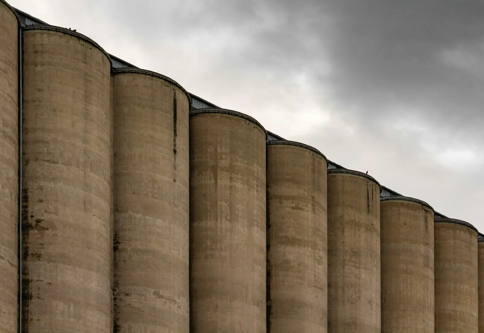 Europäischer Produktionsstandort für Futtermittel
